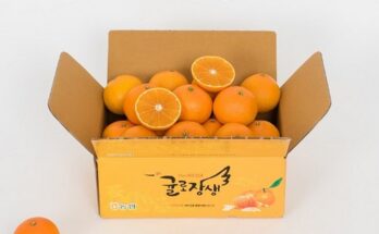 가성비 최고 2023 귤로장생 제주 황금향 3.5kg 추천상품