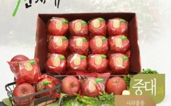 정말 놓치기 아까운 산지애 사과 5.4kg  베스트8